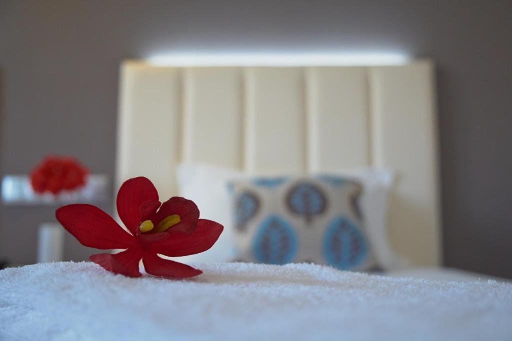Hotel Azinheira By Ridan Hotels Fátima Kamer foto